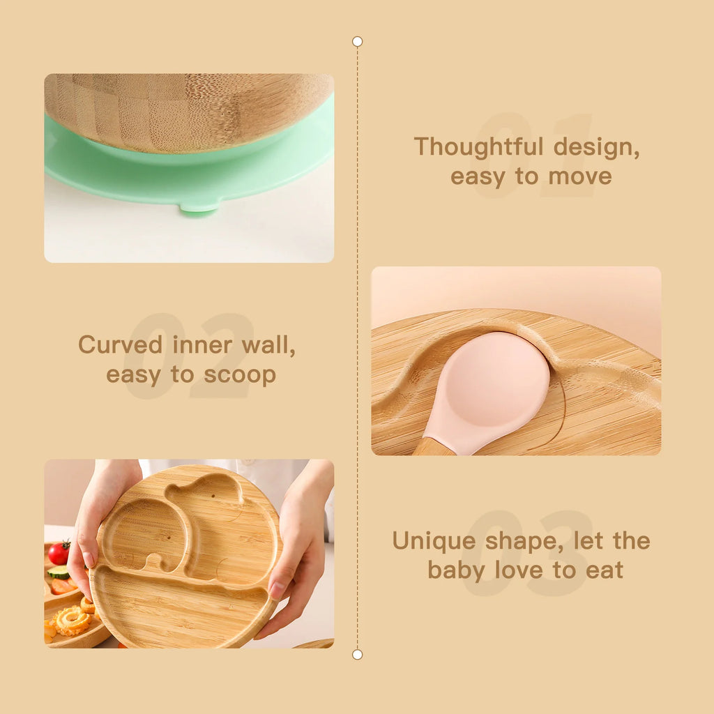 S81f91e8a0f5f4d679679bb93cc2b1484P